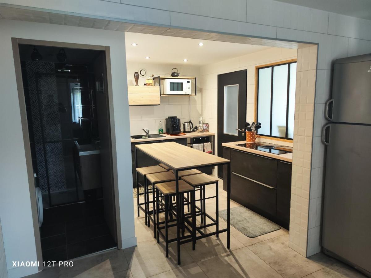 Amancy Appartement Renovee Dans Maison Ancienne מראה חיצוני תמונה